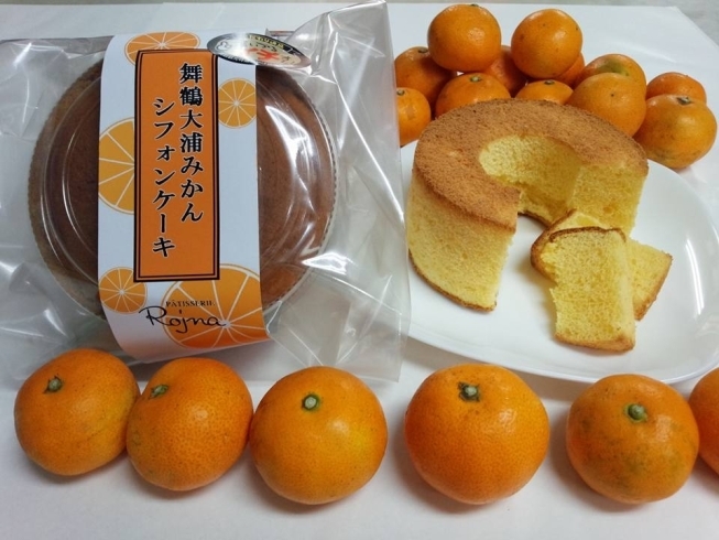 「大浦みかんシフォンケーキ販売開始しました！」