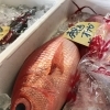 オナガ！