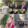 「『岡山パクチー×幟アート奉納祭』無事執り行われました。」