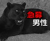 「男性　急募！」
