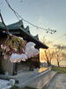 「4月26日(日) もりのきより（小樽 ゲストハウス) 」
