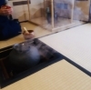 「今日のお稽古🍵」