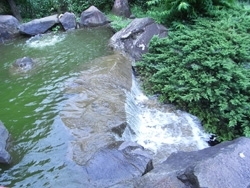 休憩所の横には滝があって、涼しげに水が落ちていく。