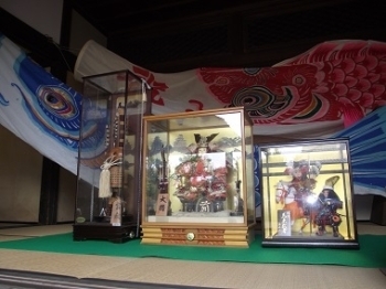 この時期は、5月人形と鯉のぼりの展示もしています。