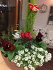 「＊ クリスマスバージョンの寄せ植え ＊」