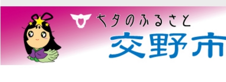 「野鳥のブローチ教室」