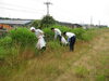 「黒部川土手沿いをゴミ拾い」