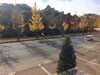 「冬の楽しみ♪」