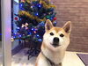 「楽しみのその前に…☆」