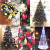「クリスマスツリーの日♪」
