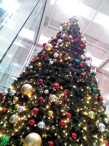 「クリスマスツリー★千葉中央駅　ホテルミラマーレさん★」