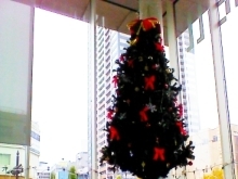クリスマスツリー★きぼーるロビー★