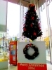 「クリスマスツリー★きぼーるロビー★」