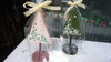 「メリークリスマス！体験レッスン作品」