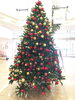 「クリスマス♪」