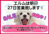 「明日27日は営業します！」