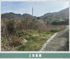 「淡路島　野島江崎土地」