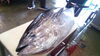 「必見！　生本マグロを店頭で解体・即売します！」