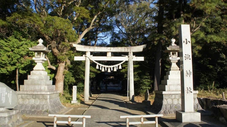 「～まいぷれ・行く年来る年～３日午前９時半」