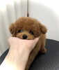 くまきち　☆「ぱぱ＆まま募集　(*´꒳`*)」