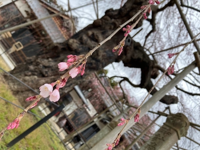 千手院