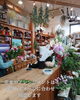 「クリスマスなど贈り物にはお花を！魚沼市の佐藤花店さん、種類豊富で選ぶのも楽しい。」