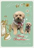 「Dog salon mofu mofu　余市町」