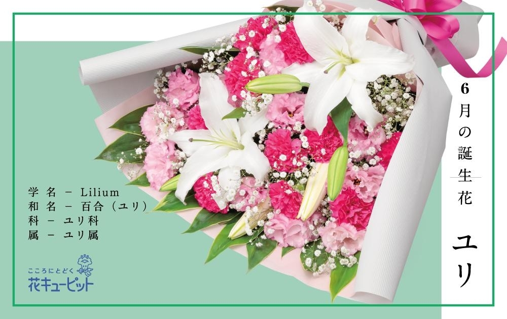 6月の誕生花ユリ ジューンブライド 父の日フラワー 花キューピットでお花じかん まいぷれ 黒部 入善 朝日 6月の誕生花ユリ ジューンブライド 父の日フラワー 花キューピットでお花じかん まいぷれ 黒部 入善 朝日