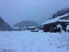 「雪の中、頑張ってお届けしています・・・」