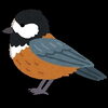 「里山大好き観鳥会「 交野の冬鳥を見よう」 」