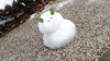 「☆雪！和歌山で積雪でした☆」