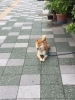 「もうすぐ2月！！」