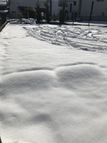 「米子大雪でした 」