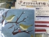 「『オリジナルちぎり絵』プレゼントのご案内」