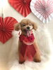 ミルキーくん／テディベア　シニアさわ「Happy Valentine ♡」