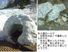 「先々週の一コマ　２月の予定をアップ中。」