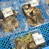 「秋の味覚“きのこ”道の駅木曽福島」