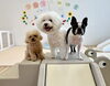 楽しいね〜😃「ましゅまろ幼稚園🐾」