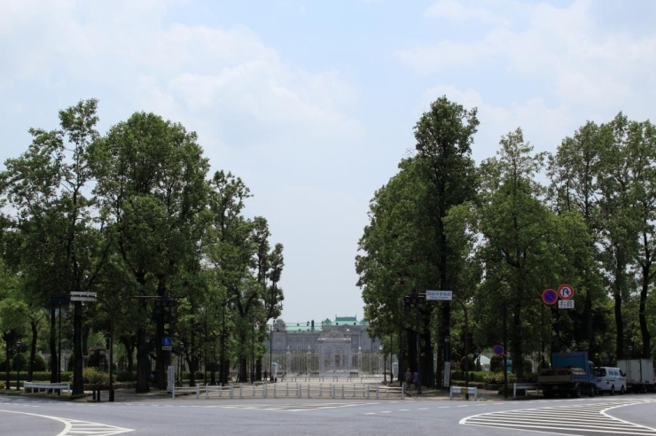 四谷駅から迎賓館赤坂離宮に向かって行くと、この風景が見られます。<br>正面奥が迎賓館赤坂離宮、中央の道は石畳、左右のユリノキの並木があるのが若葉東公園です。