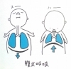 呼吸法を行う事で内臓のトレーニングにもなります。「鍛える所は筋肉だけでなく、心だけでもなく…「内臓も鍛えましょう」」