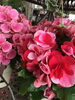 「おすすめ！」