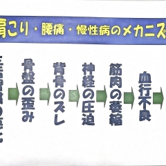 痛み、歪みの原因は生活習慣が大きく関係