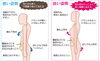 「美ボディを保つのは背骨のS字」