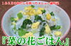 「１＆２月のおだしを使ったメニュー歳時記！『菜の花ごはん』のご紹介♪」