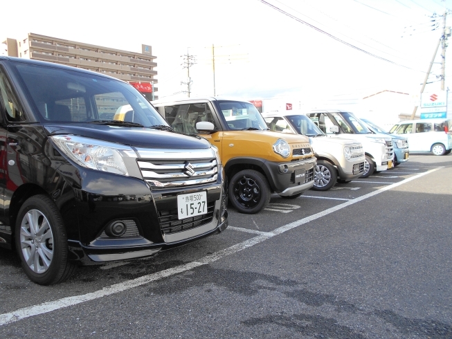 「スズキの試乗車・展示車あります」