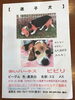 「迷子犬情報」