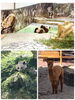 「春休みの家族旅行に♪」