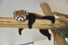「週末はだらだら～☆」