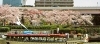 「東京スカイツリー＆隅田川お花見クルーズ」