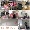 「ゆたかデイ～本日のレク～」